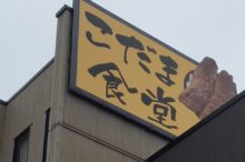 釣りとご飯で2倍満足!一度は食べたいこだま食堂のわらじかつ丼