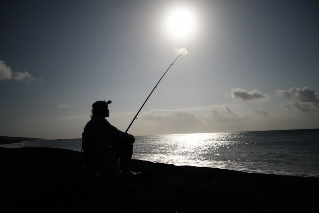 【アオリイカ釣りは簡単】時期と釣り場が合えば釣ったも同然です