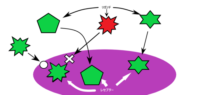 ヒト幹細胞培養液効果を解析 口コミどおり髪の毛は発毛するの あきブログ ヤエン釣り情報サイト