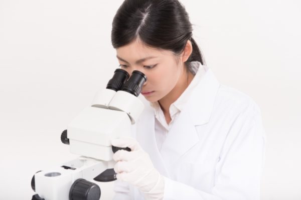 ヒト幹細胞培養液（ヒト幹細胞）の特徴を解説