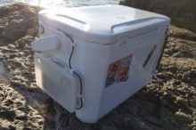 アオリイカの釣果は出た?水温下がる和歌山を攻略してきた