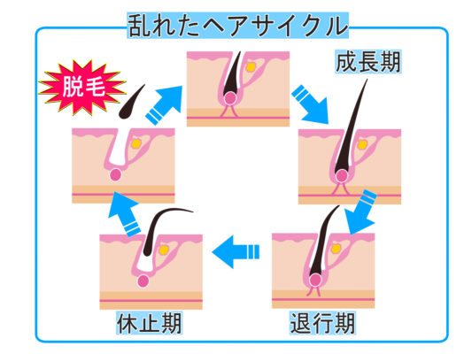 恐怖 シャンプー時の抜け毛本数って1日平均100本 違うよ あきブログ ヤエン釣り情報サイト