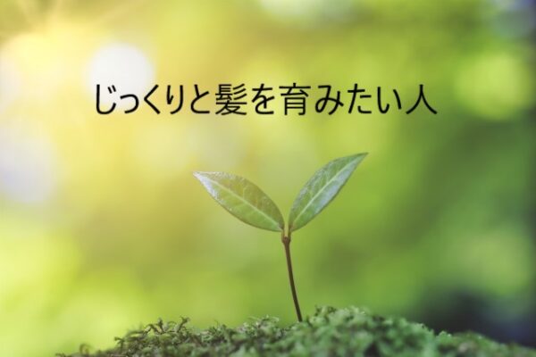 ニューモ育毛剤でじっくりと髪を育みたい人を解説