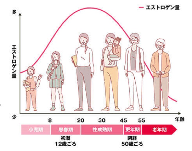 女性ホルモン対策サプリ 抜け毛 薄毛に効く育毛サプリメント8選 あきブログ ヤエン釣り情報サイト