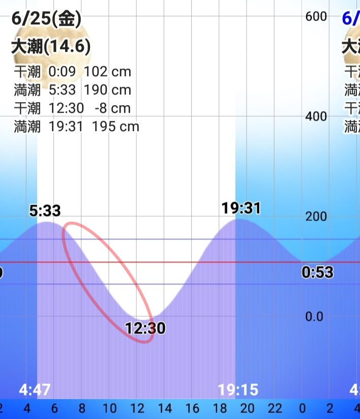 春イカと夏イカは潮を釣る 自作ヤエンで釣る春のbigアオリ