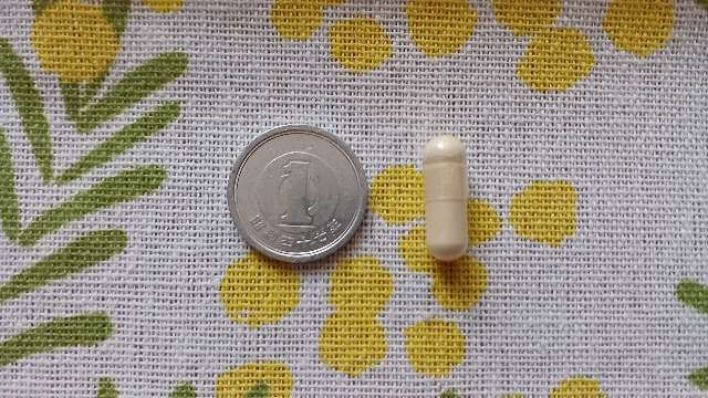 ヘアバースと１円玉を比較