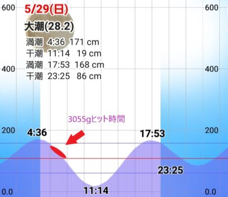 和歌山県印南町の潮汐を解説