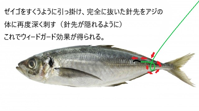 死にアジ仕掛けでヤエン釣り 春アオリイカの誘い方から針の付け方まで解説 和歌山中紀釣行記 あきブログ ヤエン釣り情報サイト