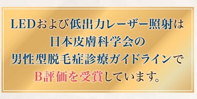 日本皮膚科学会でB評価を受賞