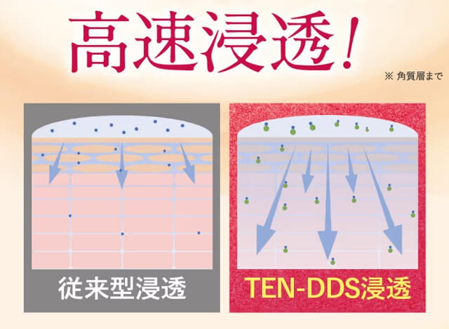 TEN-DDS独自の浸透技術