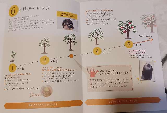 使い始め・3ヶ月目・6ヶ月目の効果表