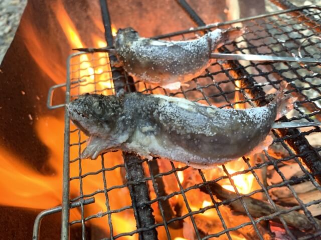 釣った魚を通じて家族や友人と共有する喜び