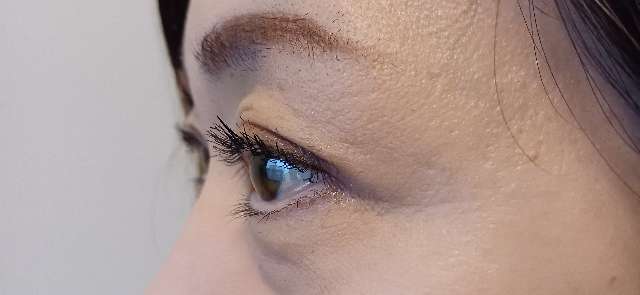 ビオルチアアイラッシュセラムのまつ毛コーティング力を解説