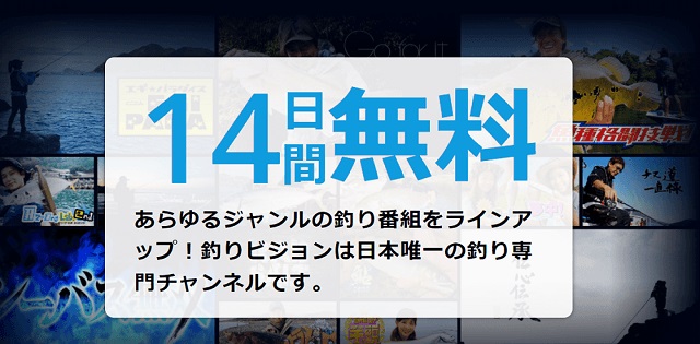 釣りビジョンVOD14日間の無料期間後の料金は？解約すれば料金掛からない？