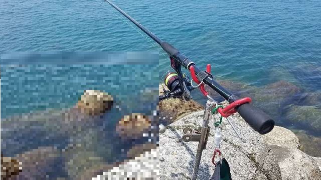 【和歌山県中紀2日目】藻バーランドを攻める！春イカポイントでのヤエン釣り釣果