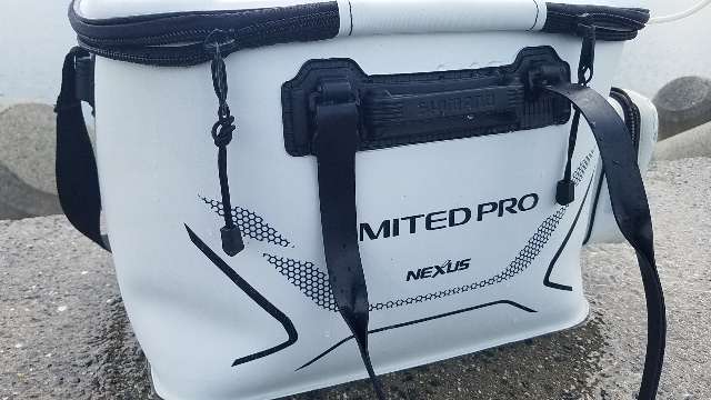 和歌山春イカ釣行2日目：中紀のモンスターアオリイカ降臨！