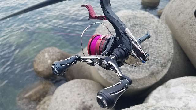 和歌山春イカ釣行1日目：幸先良いスタート！中紀のポテンシャルを実感