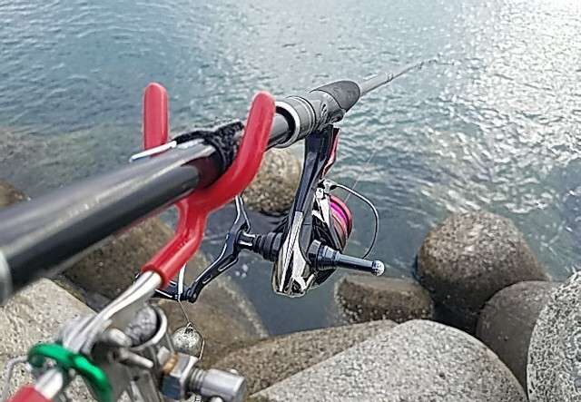 和歌山春イカ釣行2日目：中紀のモンスターアオリイカ降臨！