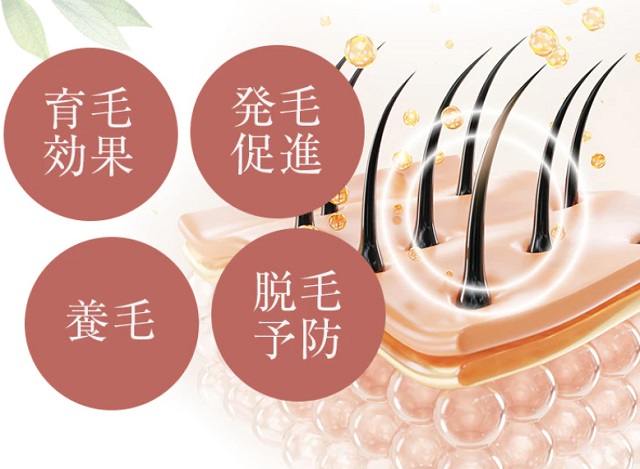 知っておきたい！リリィジュの主要成分と効果のメカニズム