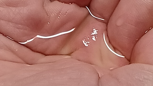 ラミナス育毛剤のテクスチャー