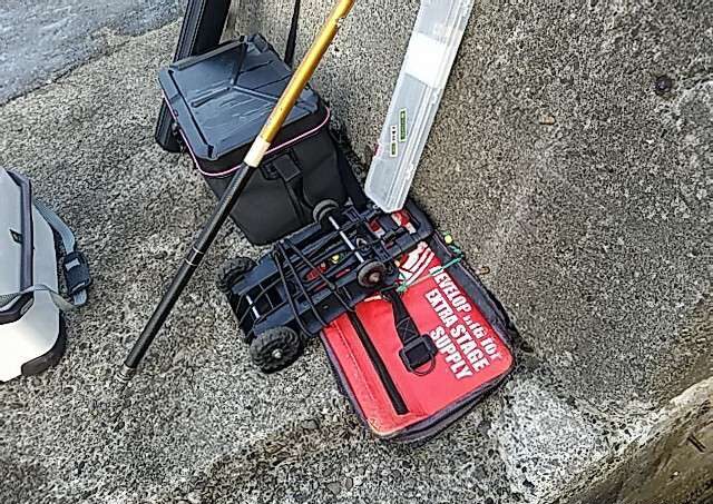 夏イカをヤエン釣りで攻略する準備と基本