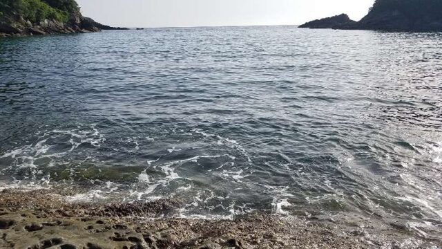 まとめ｜最高のリールを見つけてヤエン釣りで釣果を伸ばそう！