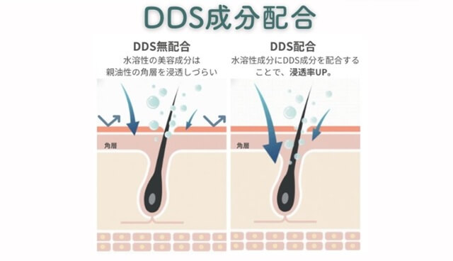 特許技術「DDS」で成分がまつ毛の根元まで浸透