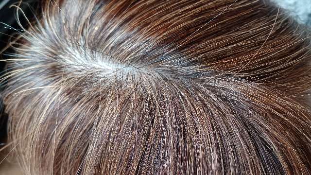 ビーリスのライトブラウンで白髪染め3週間後の分け目