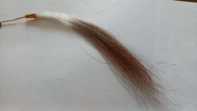 15分放置後の染まり具合