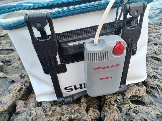 「月が真上」を超えるとアタリが減る？夜釣りの傾向