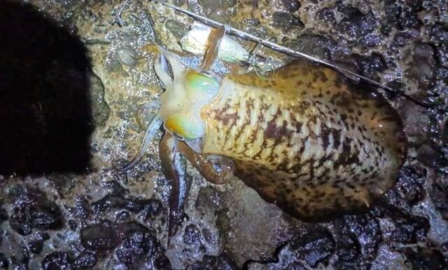 17:00の第1投。ファーストヒットの感触