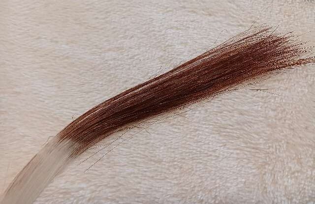 ビーリス白髪染めは「染まらない」?悪い口コミと良い評判を毛髪診断士が分析