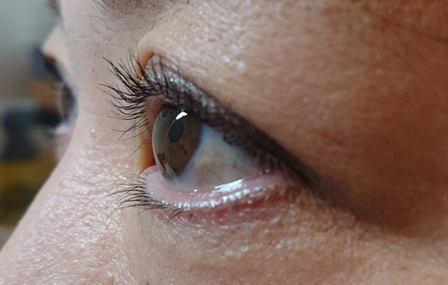 【実体験】毛髪診断士がスカルプDまつ毛美容液プレミアムを2ヶ月ガチ検証！本音の育毛記録