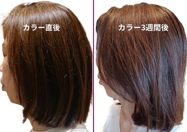 ラサーナプレミオール21日間使用後のヘアカラー色持ち比較（毛髪診断士による検証）