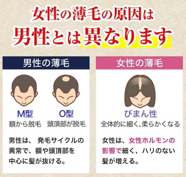 女性ホルモン減少と薄毛の関係