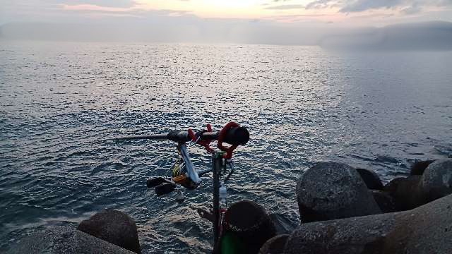 夕マズメの和歌山県中紀の春イカポイント