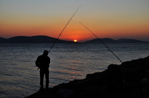 アオリイカを夜釣りで狙う際のマナー注意点【アオリイカ夜釣り】